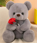 Urso de Pelúcia com uma Rosa